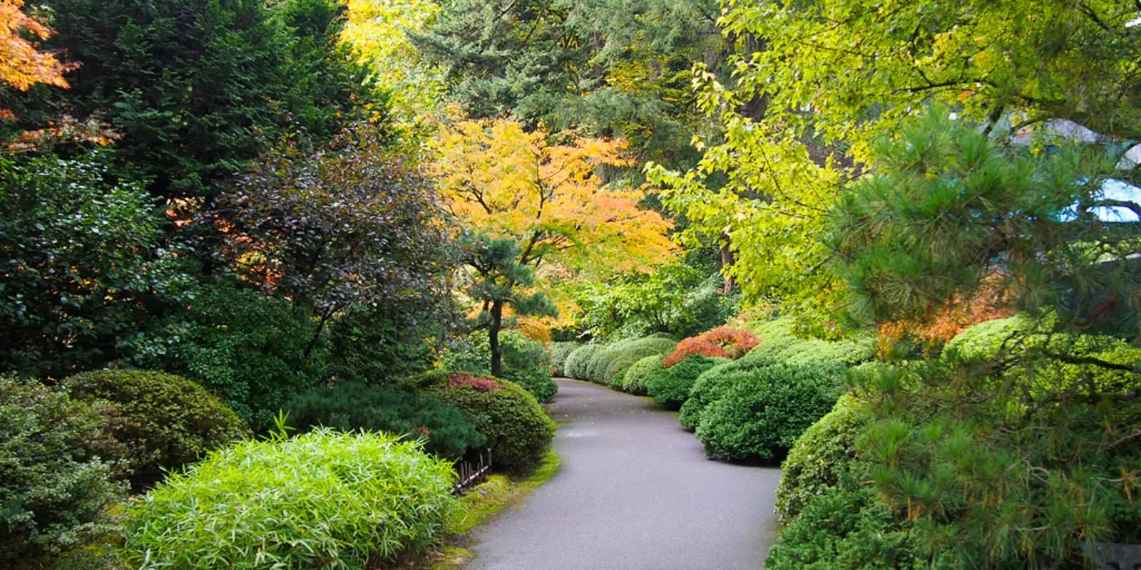 Strolling Pond Garden Fall