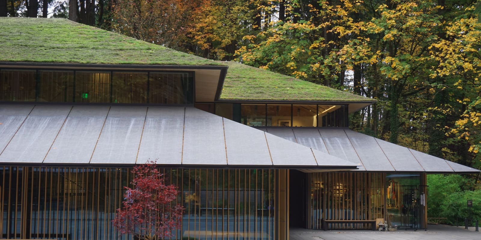 Portland Japanese Garden - Fall Colors - Photo by Tyler Quinn - DSC06952 - 20171103