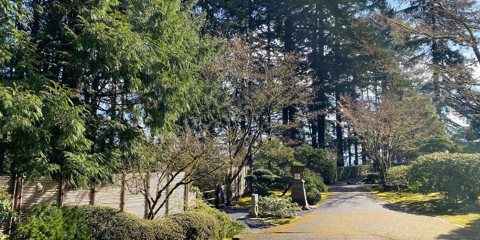 Photo Apr 08, 9 37 05 AM