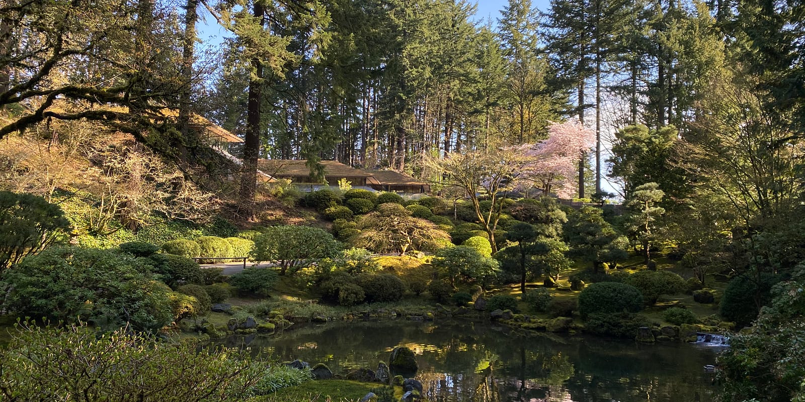 Photo Apr 08, 9 40 45 AM