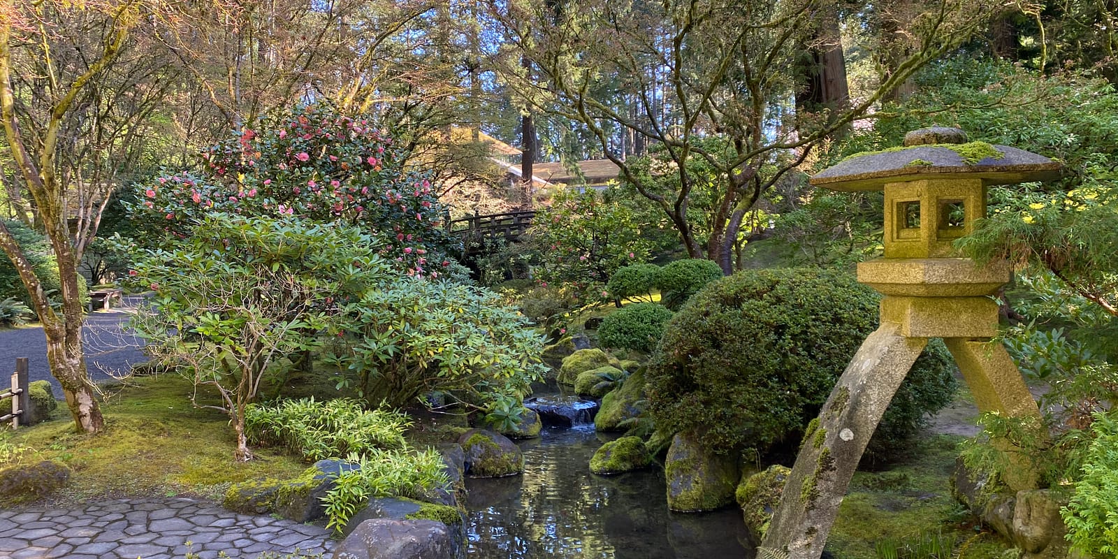 Photo Apr 08, 9 43 58 AM