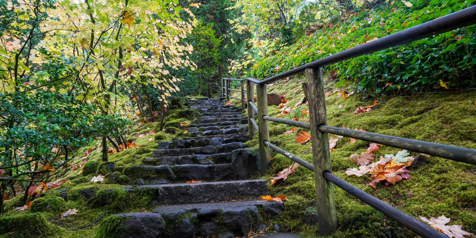 Fall Colors HD-20191022- by Chris Ruggles-31