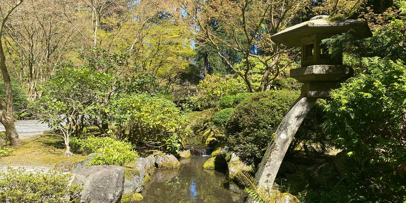 Photo Apr 13, 12 33 50 PM