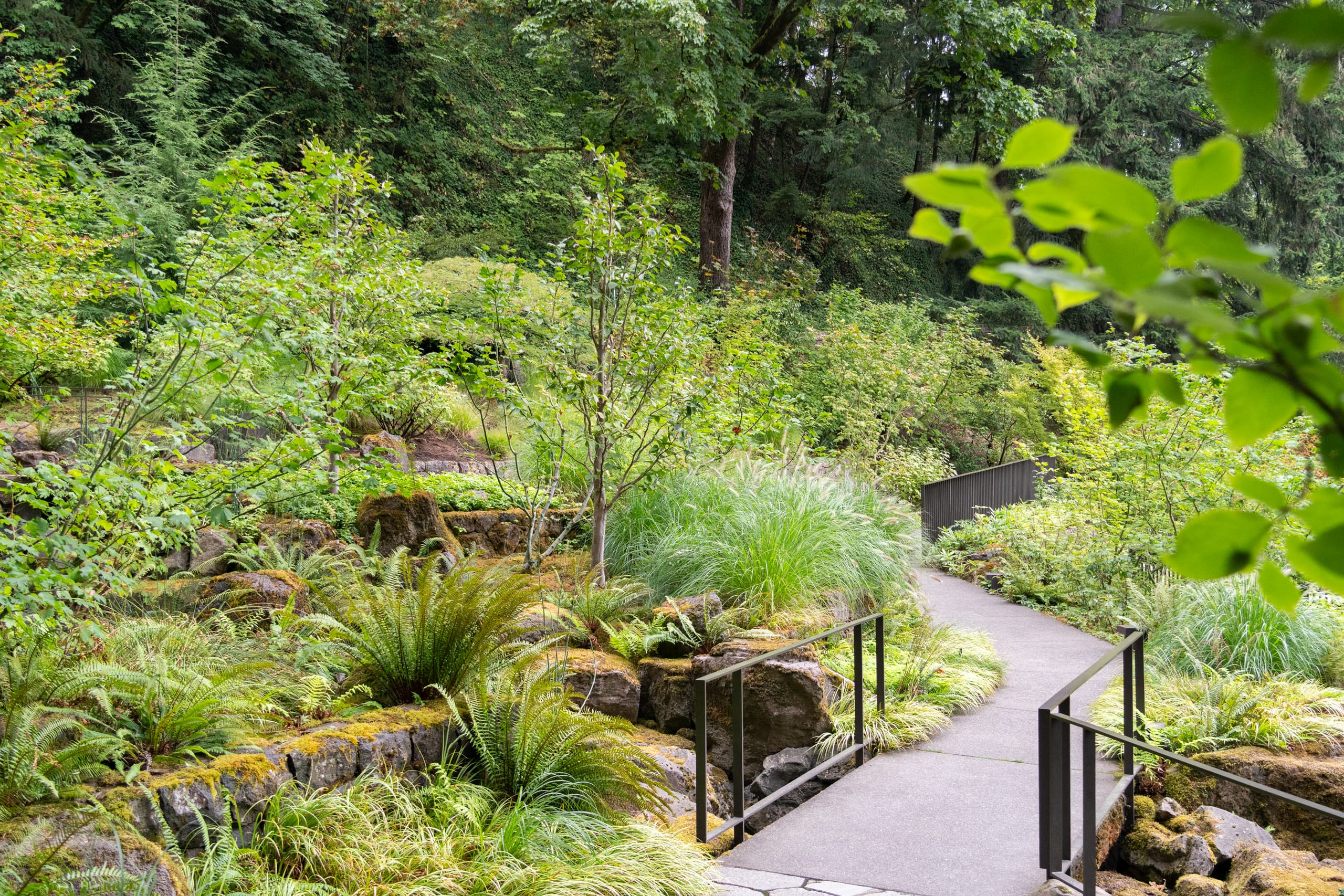 a walk way zigging through a bioswale