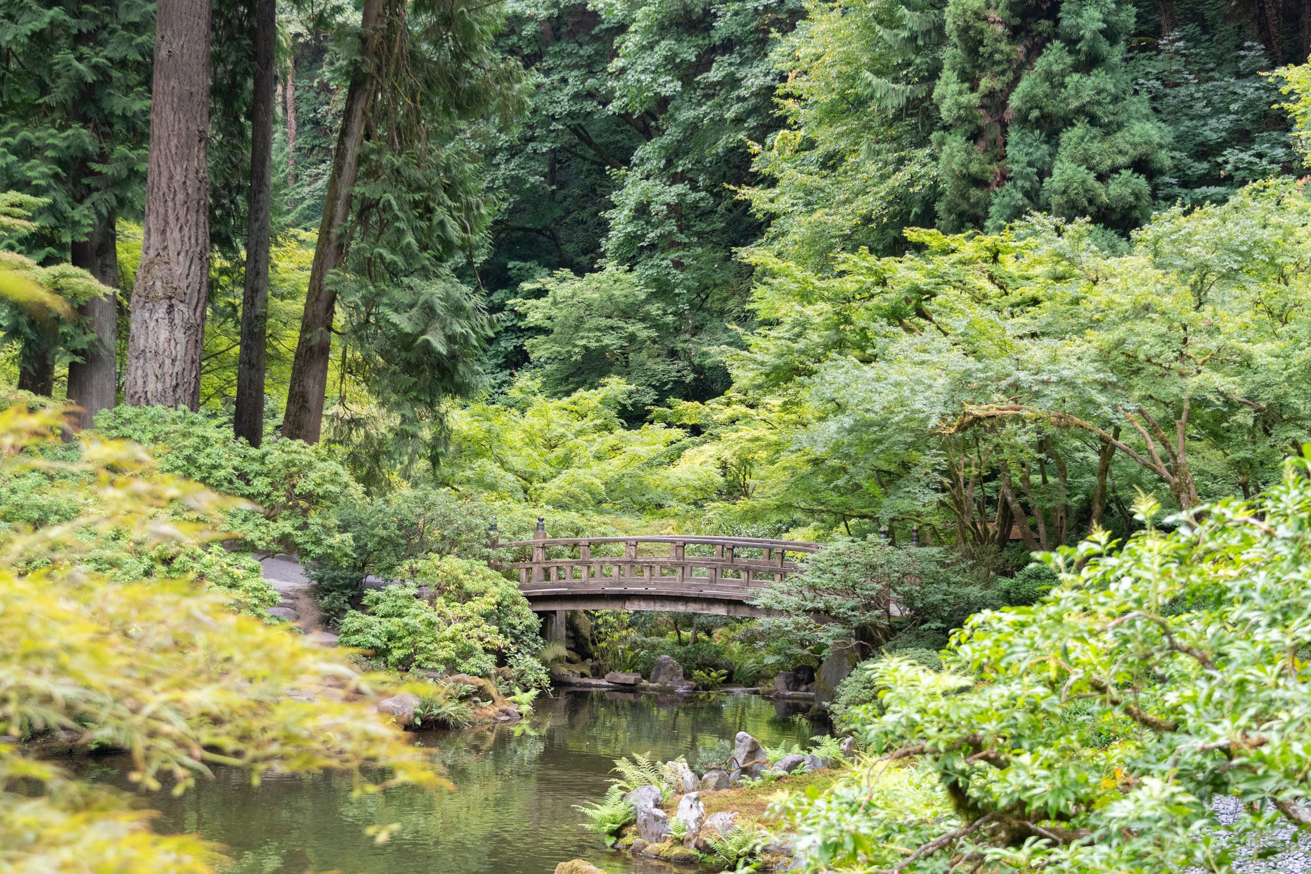 A wooden bridge next to a pond