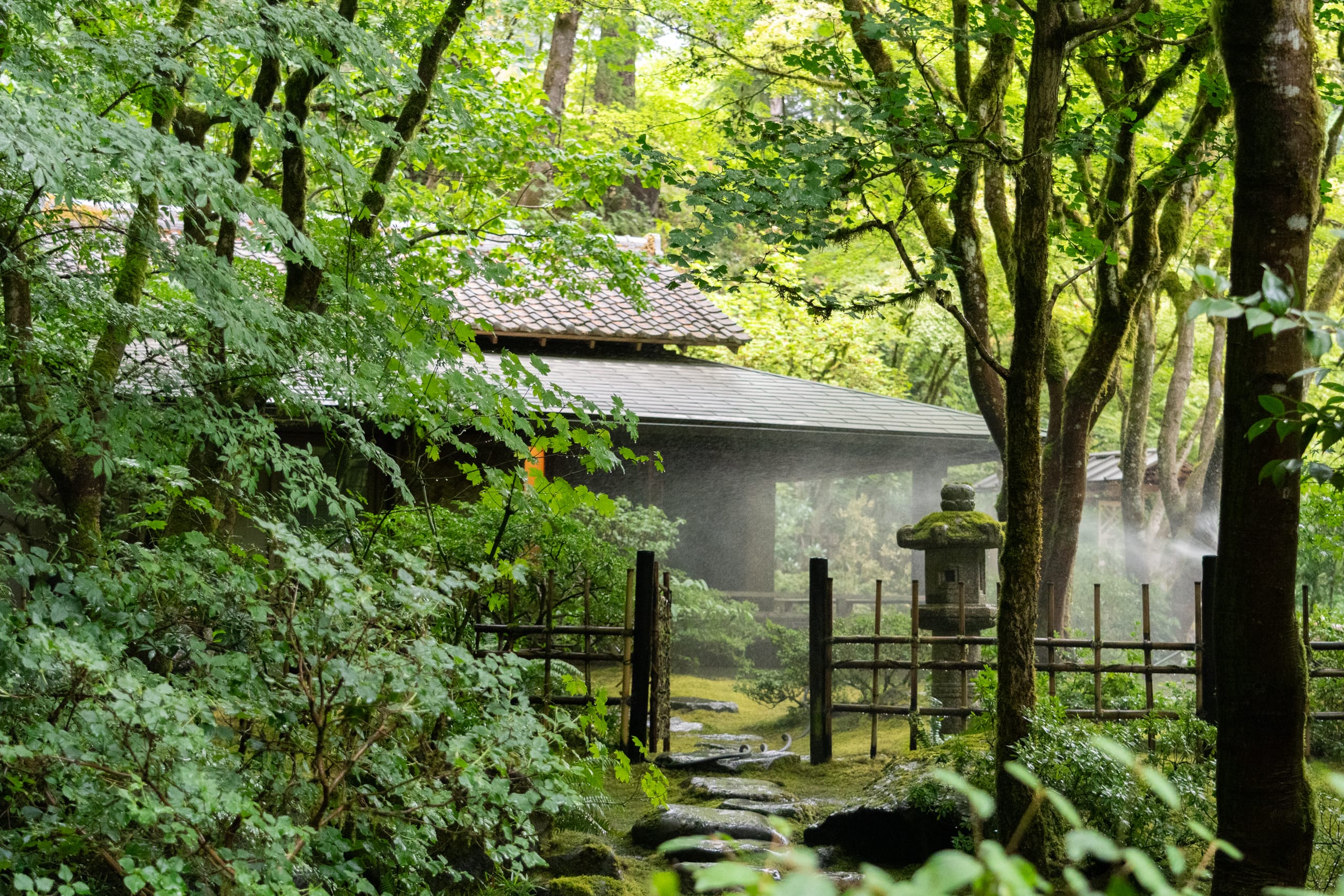 A tea house obscured by leaves