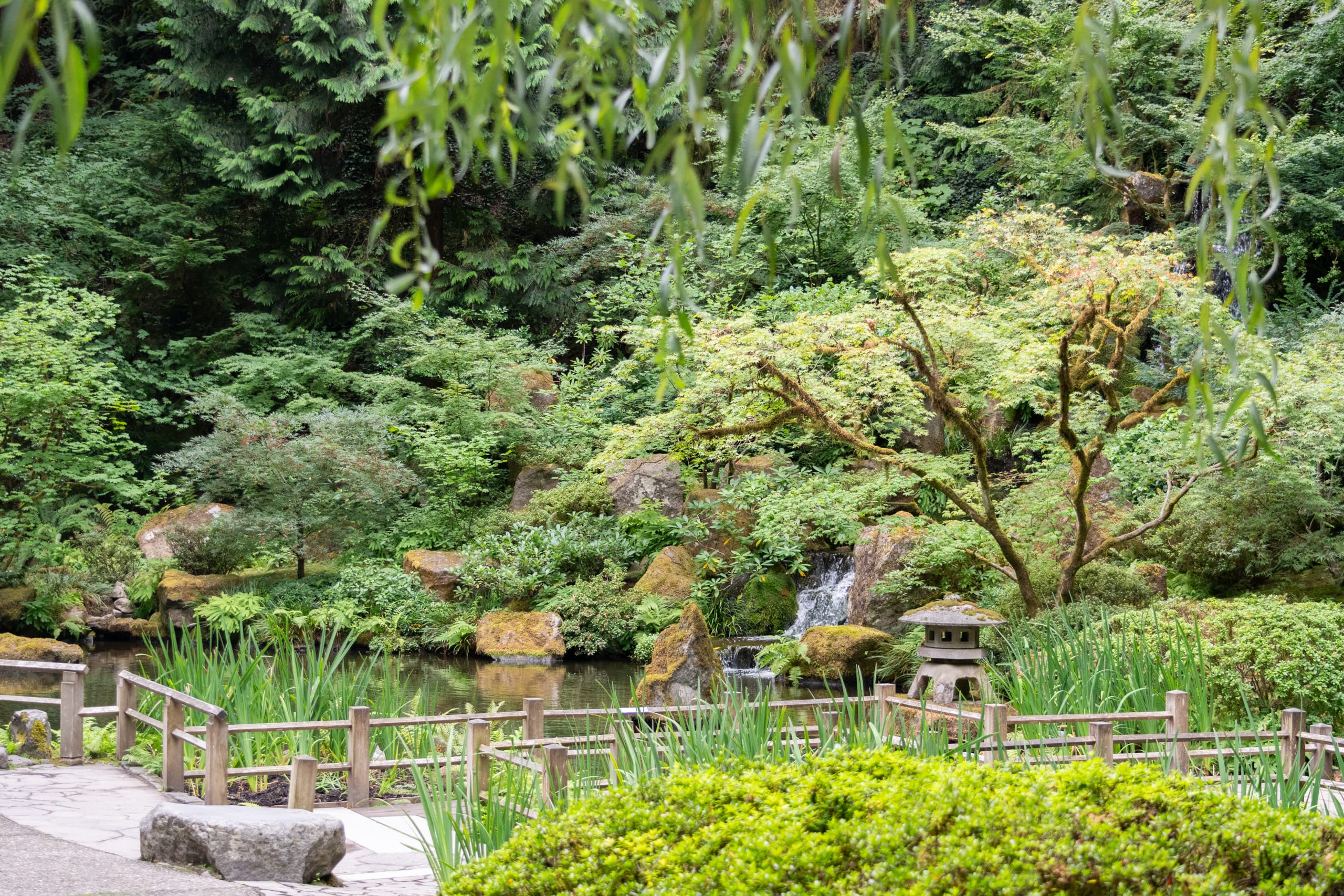 A waterfall next to a pond, irises, and small stone lantern.