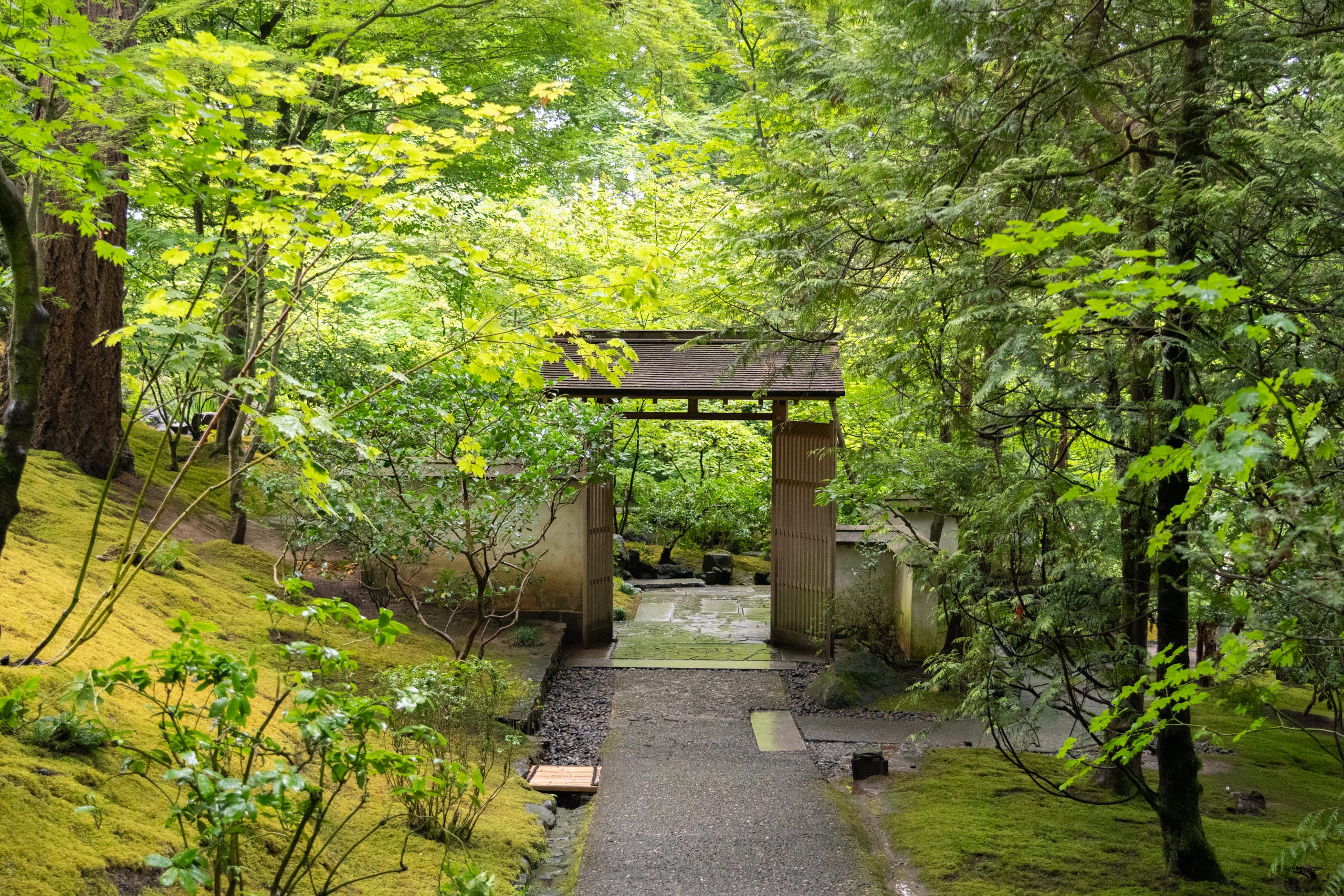 a small wooden gate surrounded by trees