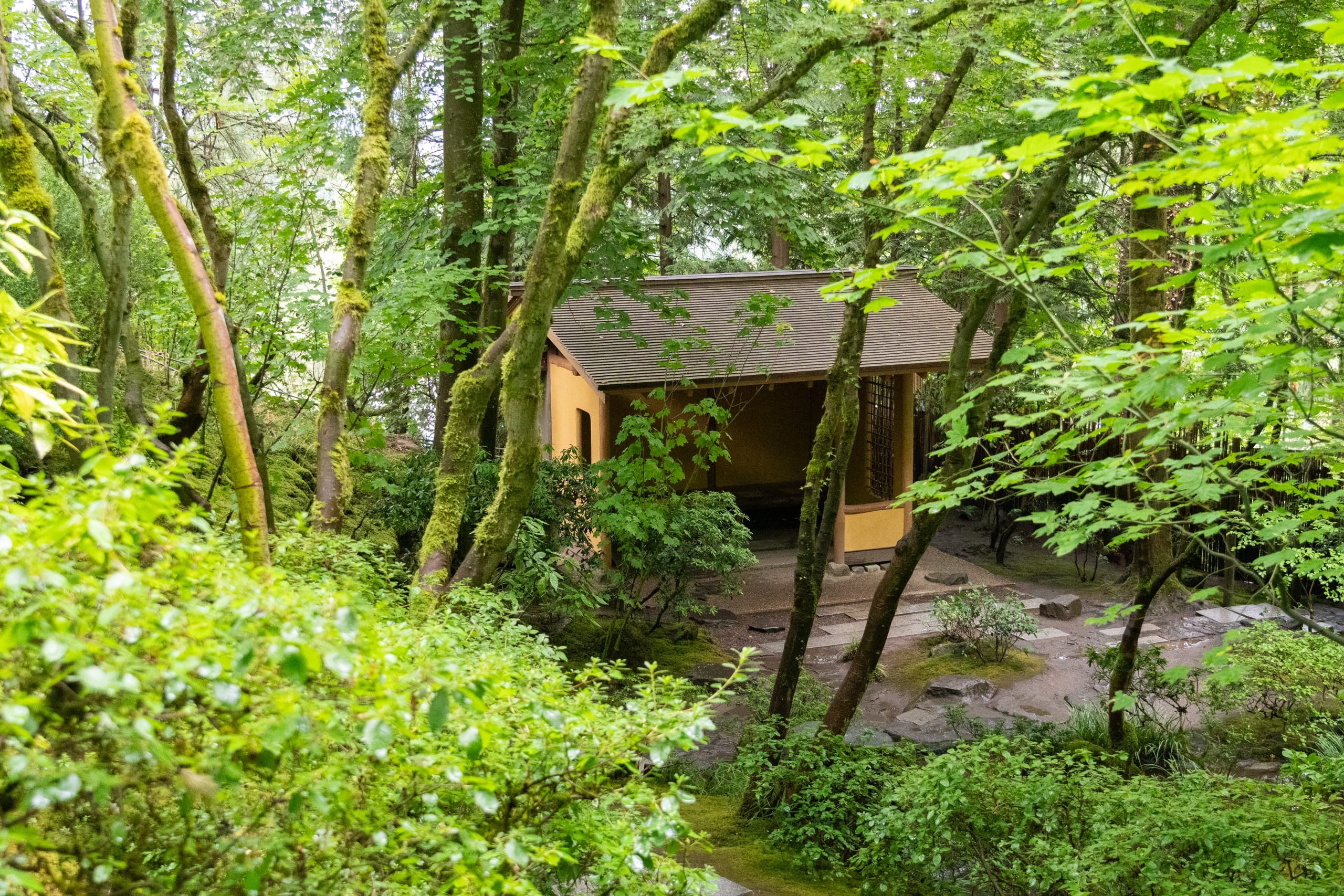 A small building surrounded by trees