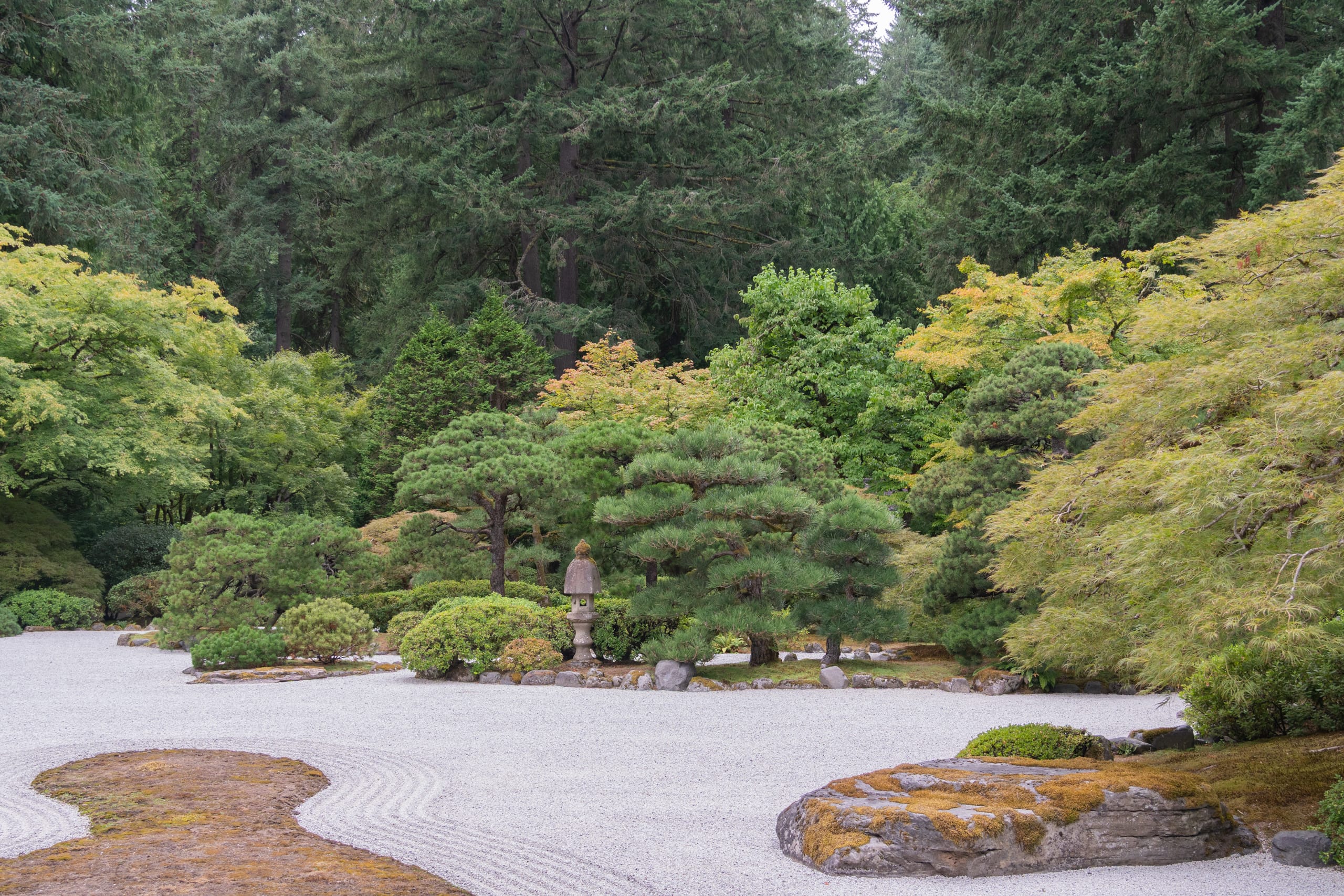 a raked gravel garden with a stone lantern surrounded by pines