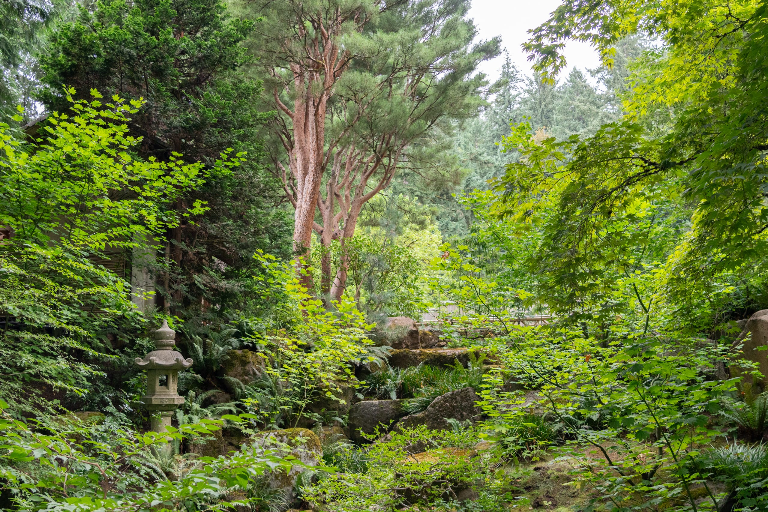 A stone lantern surrounded by greenery
