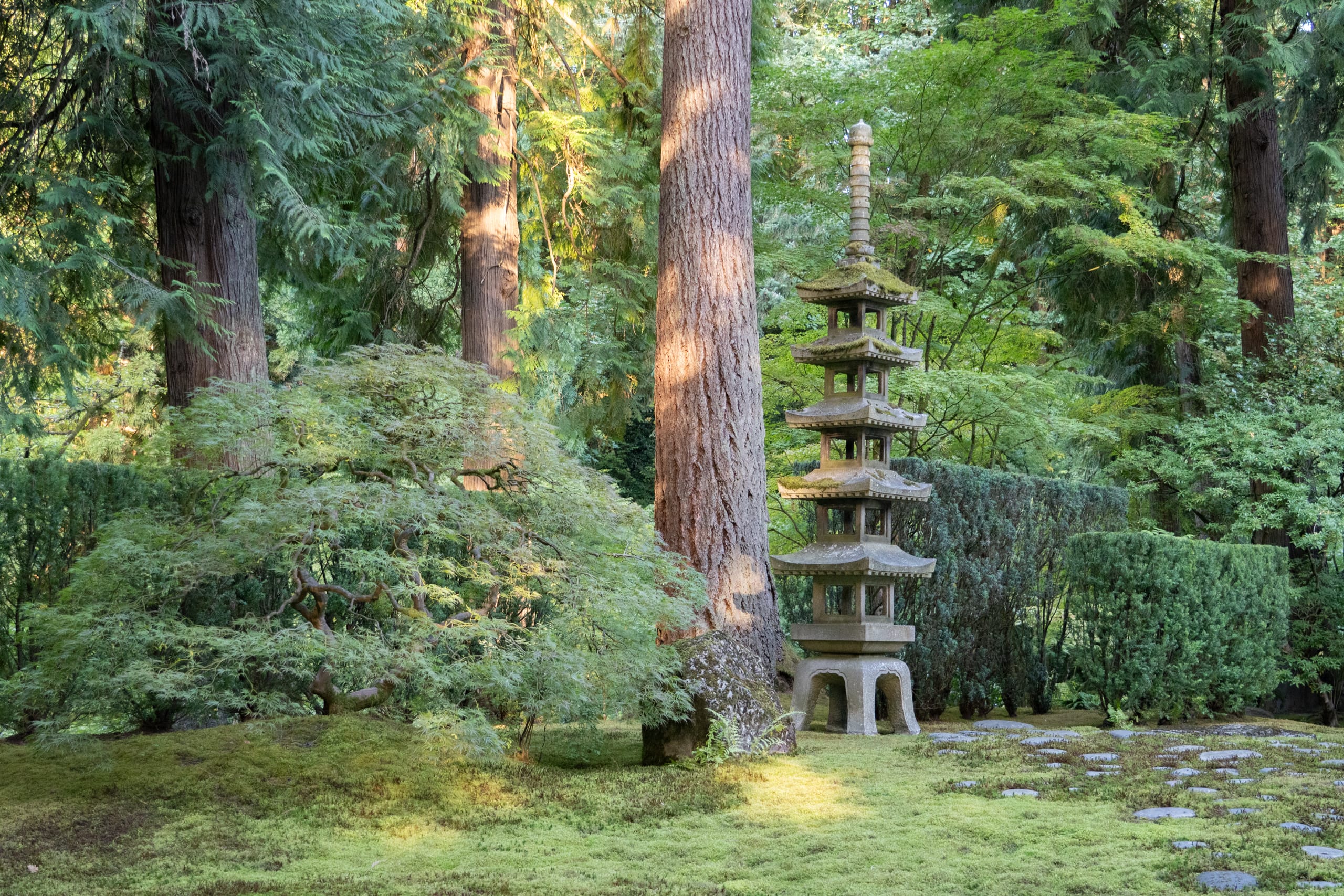 tall stone lantern next to a maple tree