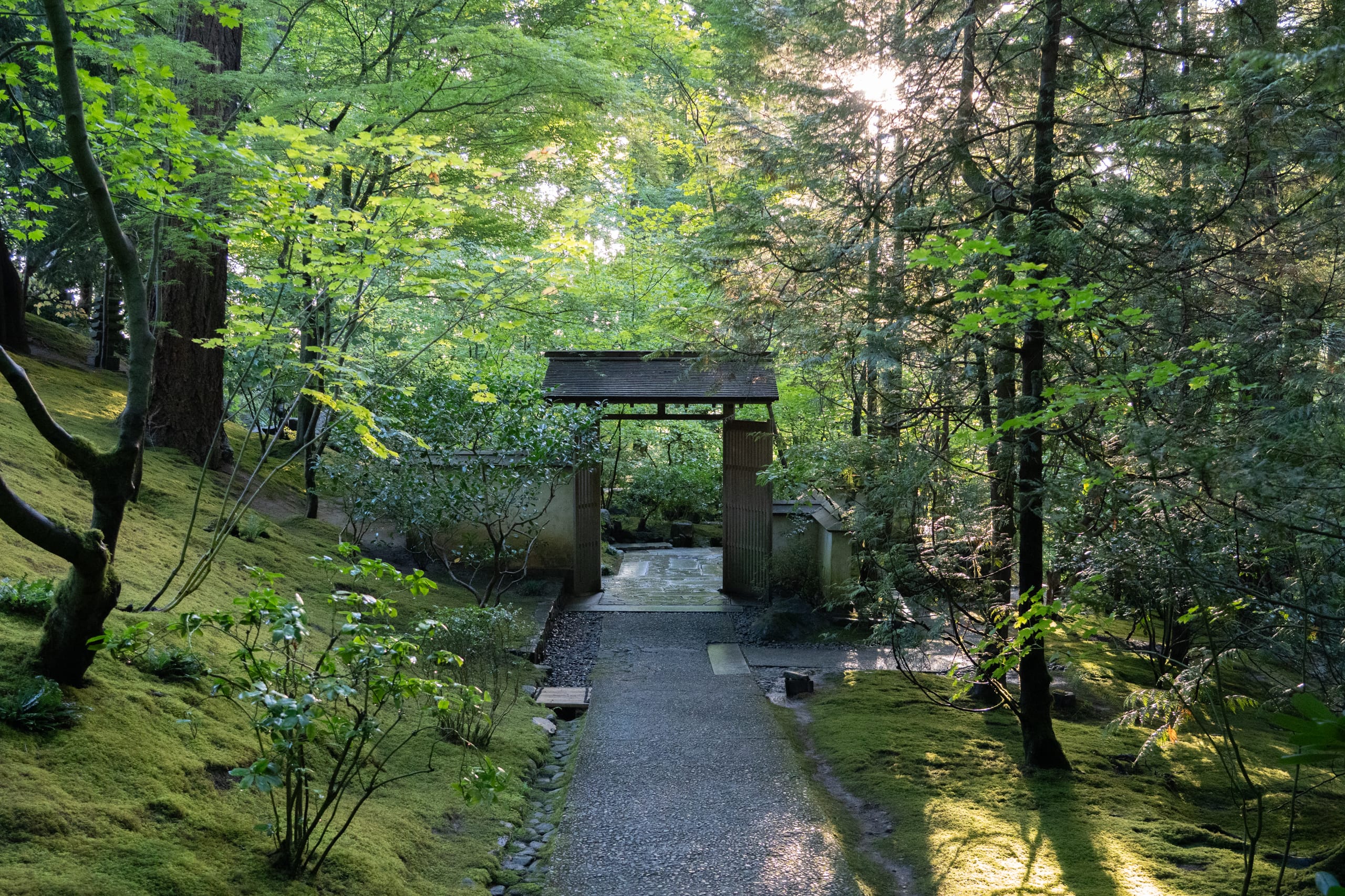a small wooden gate in shadows