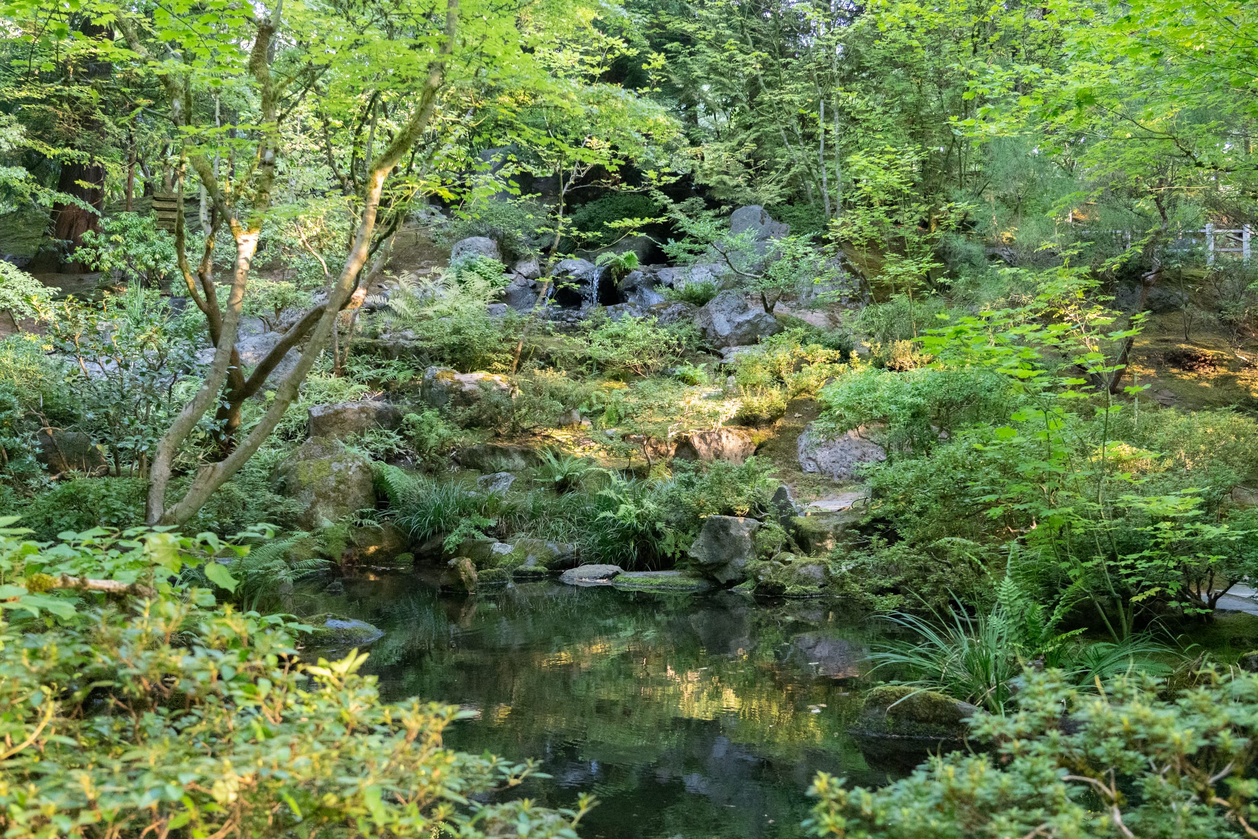 a hillside with a small waterfall
