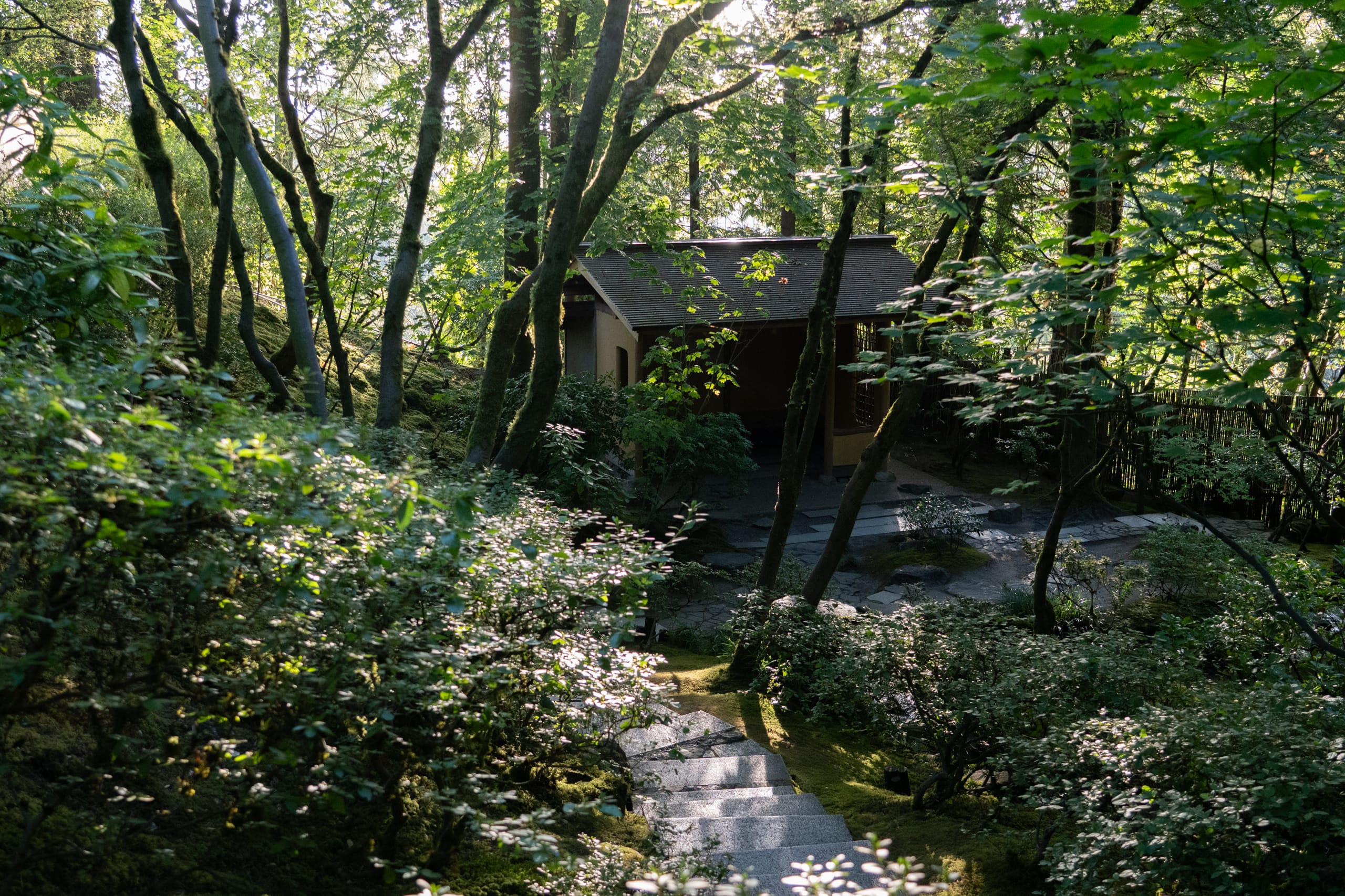 small shelter with stone stairs leading to it