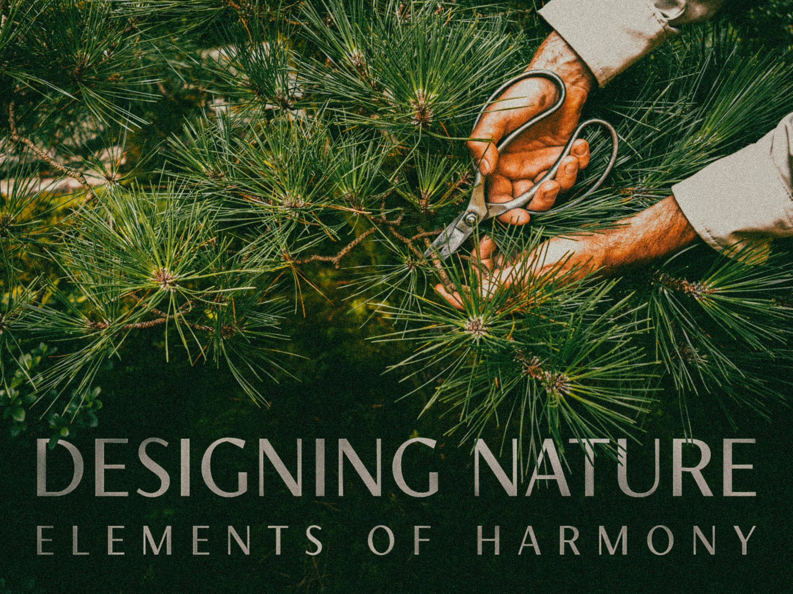 Couple sitting on a bench in the midst of the Japanese Garden