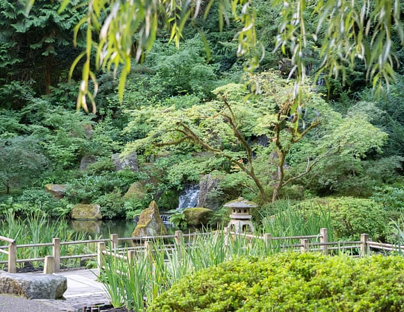 pond with a waterfall and stone lantern