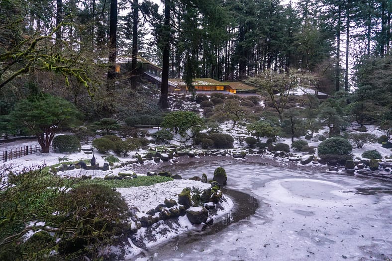 The Strolling Pond Garden covered in ice and snow, aftermath of a ferocious winter storm in January 2024.