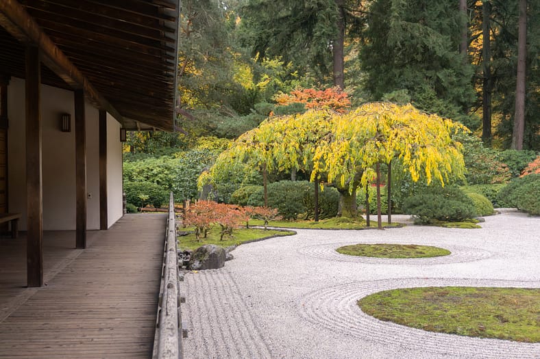 Sand and Stone Garden at Portland Japanese Garden, with carefully raked gravel patterns, moss islands, and a golden-yellow tree framed by autumn foliage.