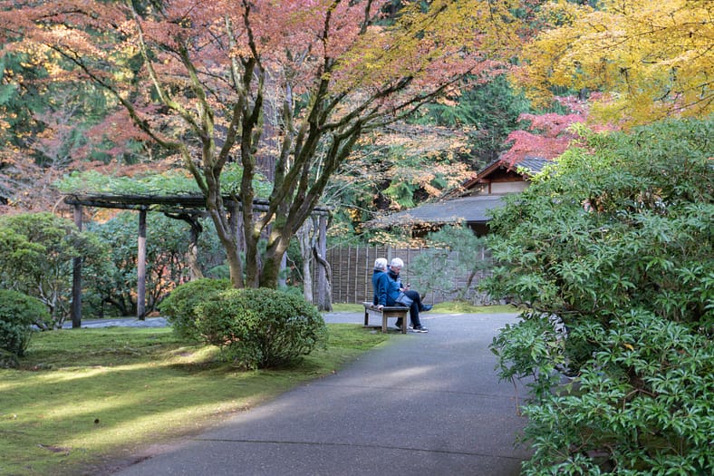Two visitors sit on a bench beneath colorful autumn maples at Portland Japanese Garden, surrounded by mossy ground and lush greenery with a tea house in the background.