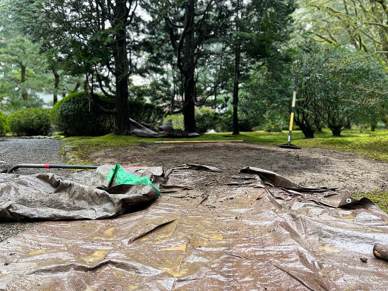 The spot where the pieris was once planted. This spot will remain vacant until a new plant is deemed a proper fit to be placed here. Photo by Portland Japanese Garden.