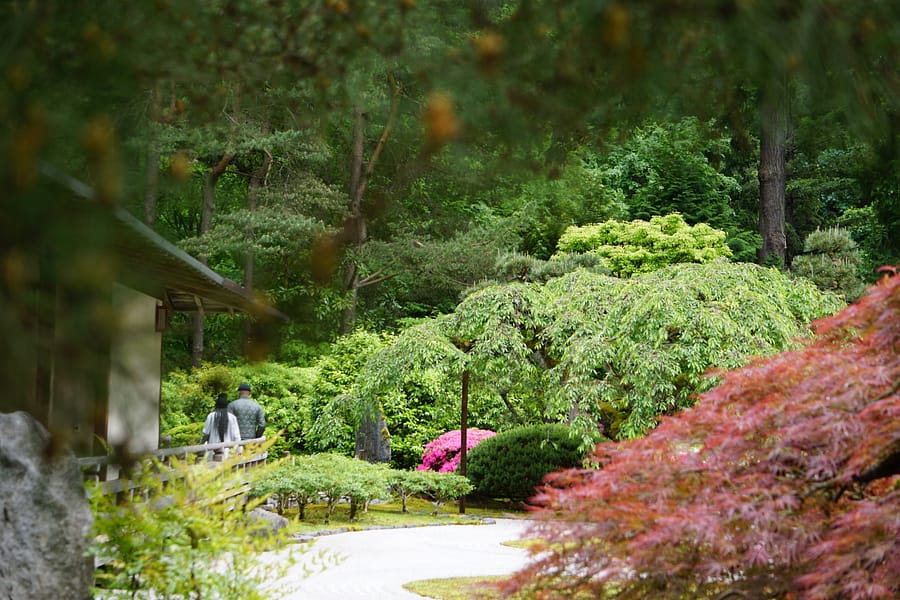 【 新品 】The Japanese Gardden Pro.51 - Ep.1) Making a Japanese style garden in a modern