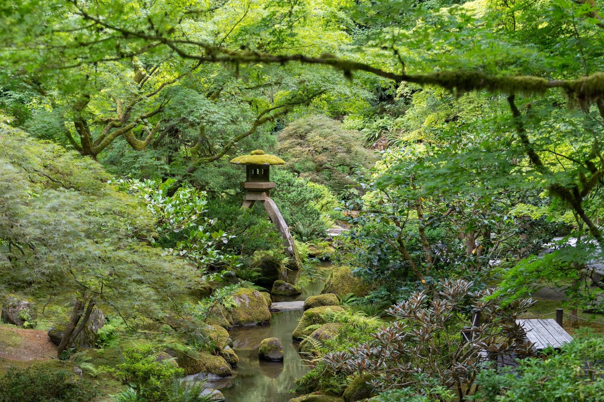 a stone lantern surrounded by green vegetation