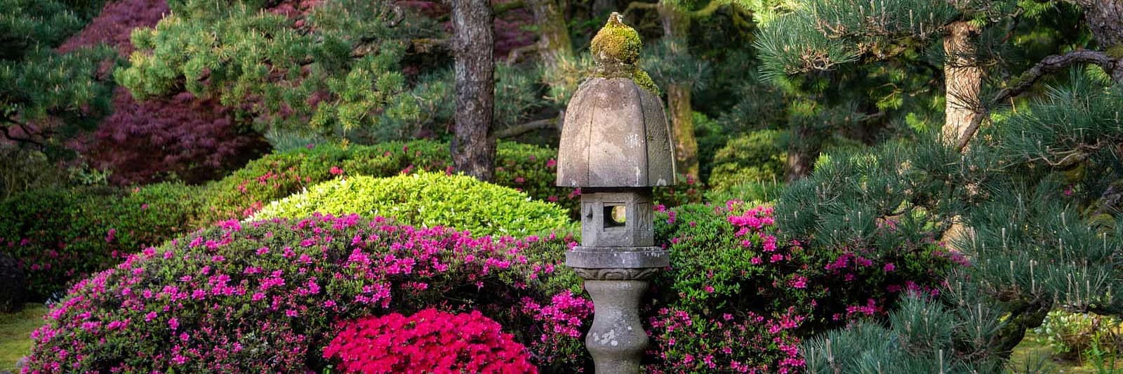2024_04_22_SpringBlooms-FlatGarden_PhotoByPJG-5 copy