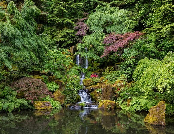 a waterfall
