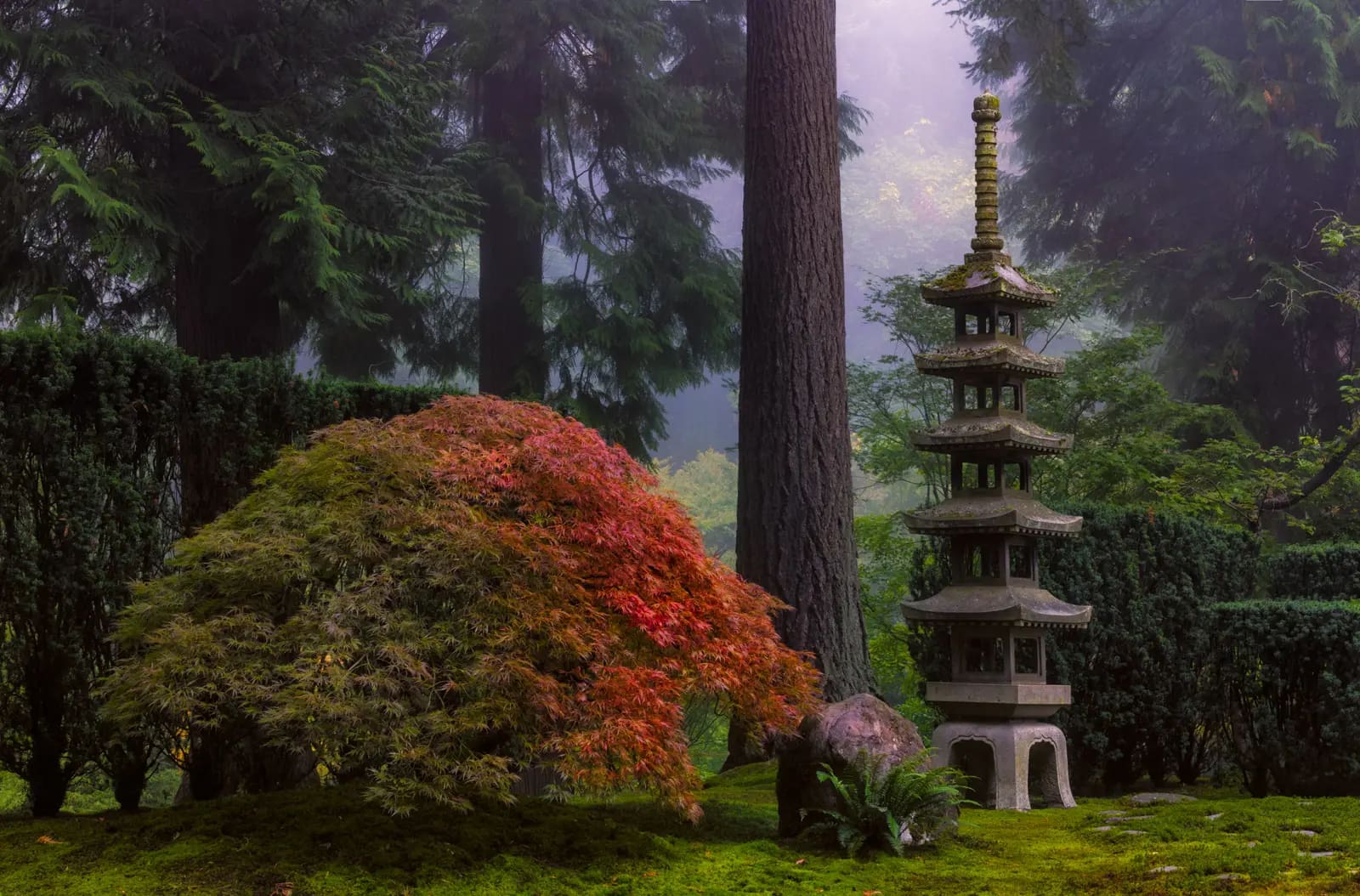 A tall stone lantern stylized like a pagoda next to a maple.
