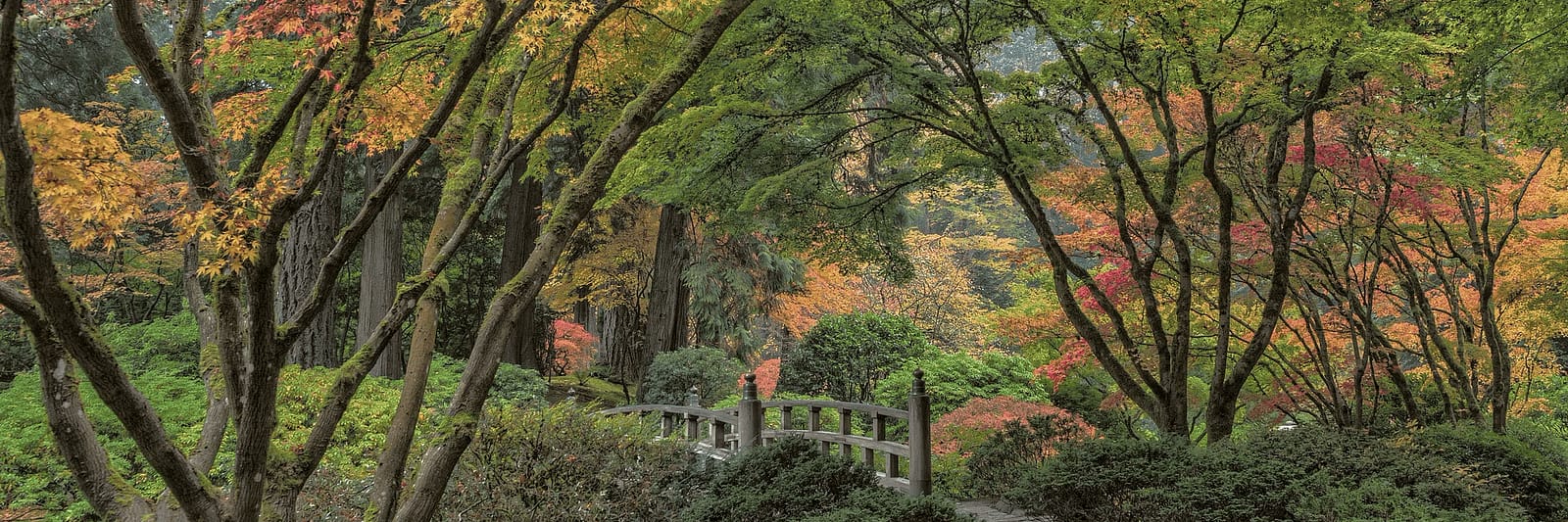 fall-color-pjg