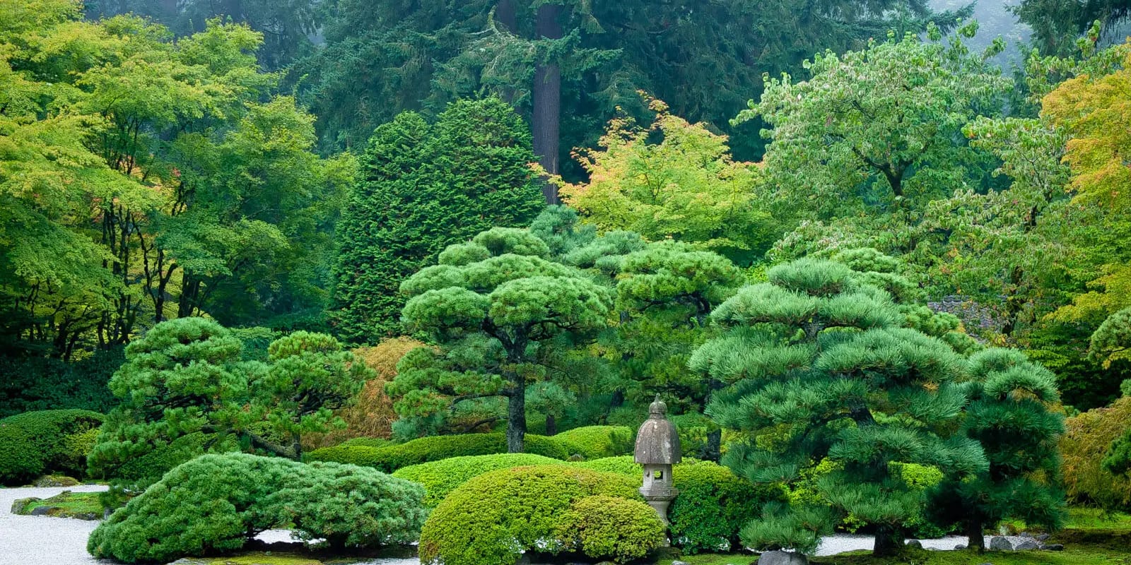 Flat Garden in Summer. Photo by Tony Small