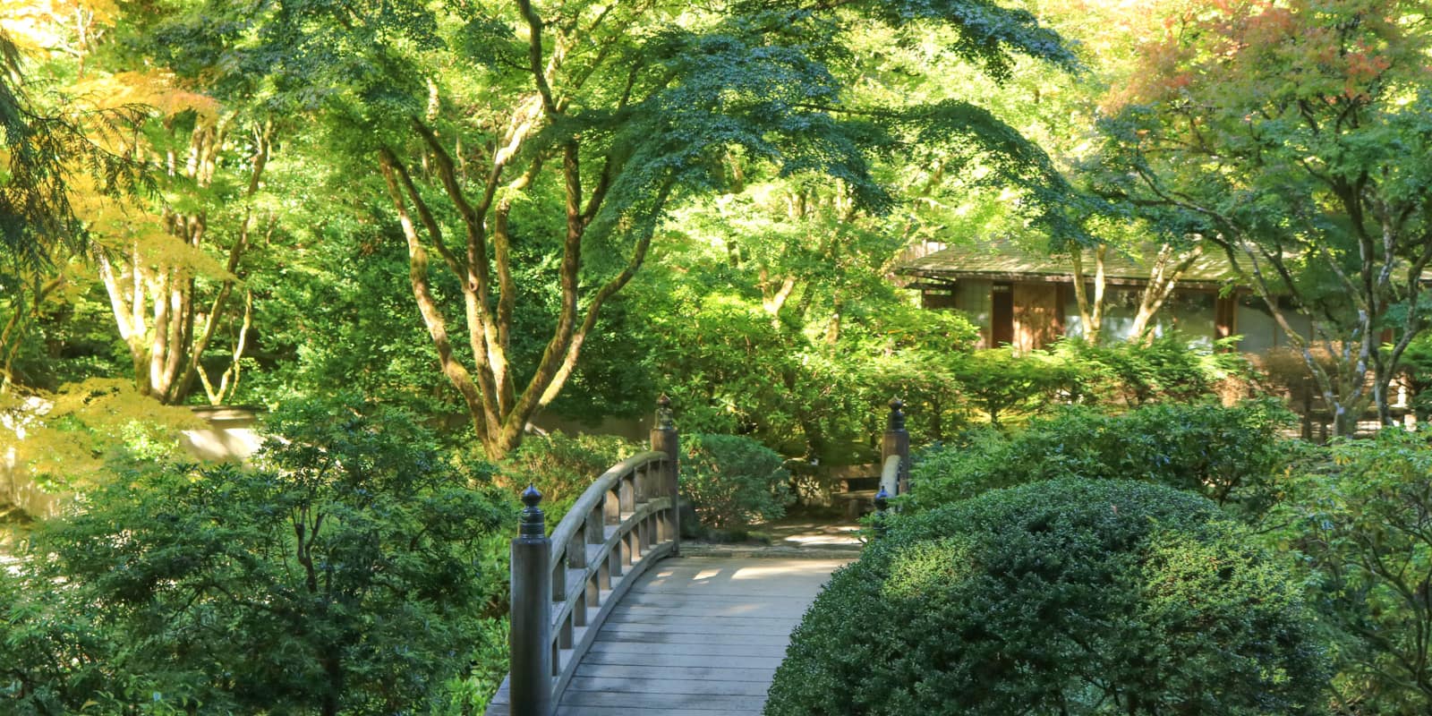 LR_Portland Japanese Garden_Fall Colors 2017_ Julia Taylor_IMG_0945