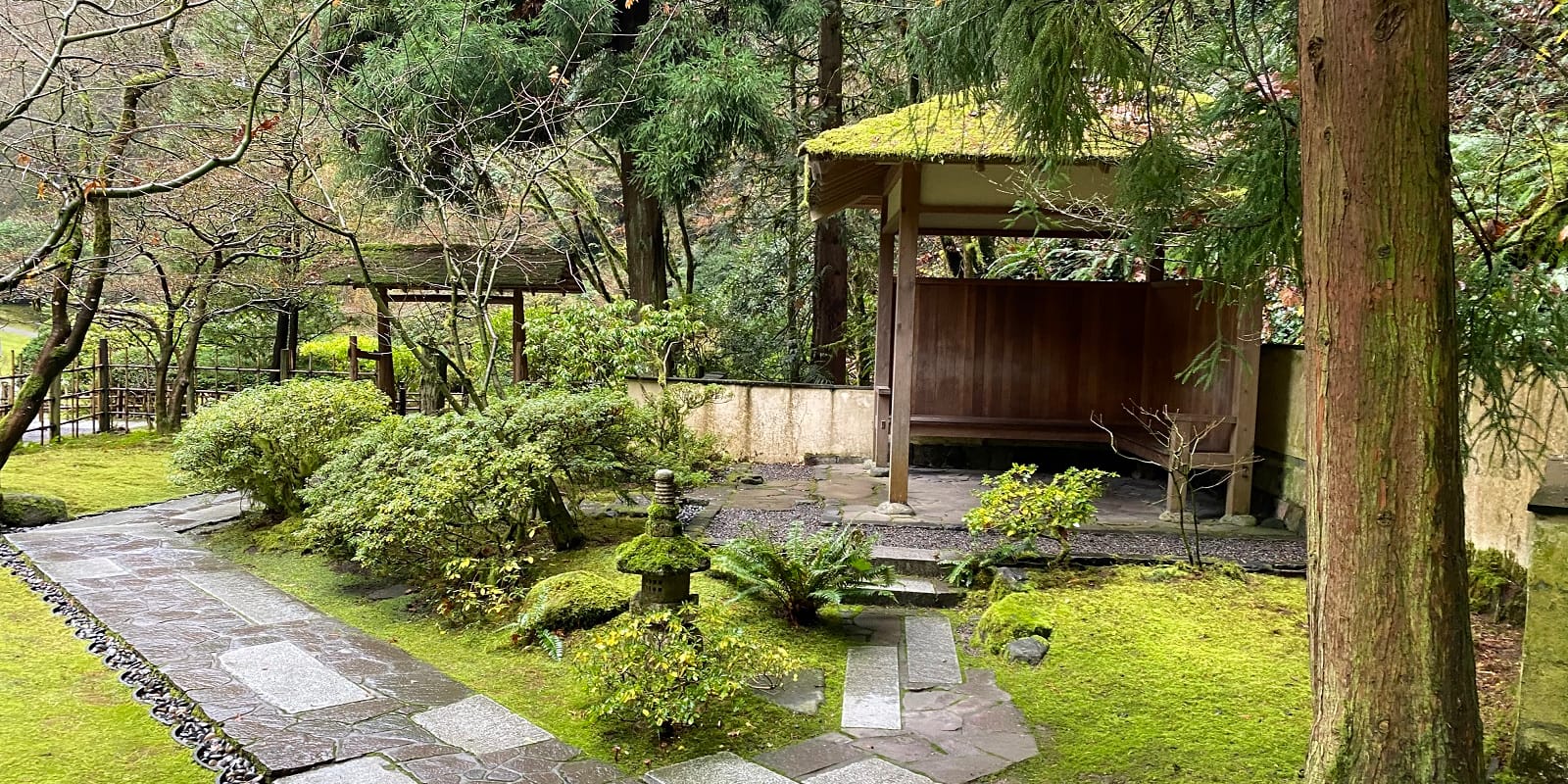 12.28.20_Tea Garden