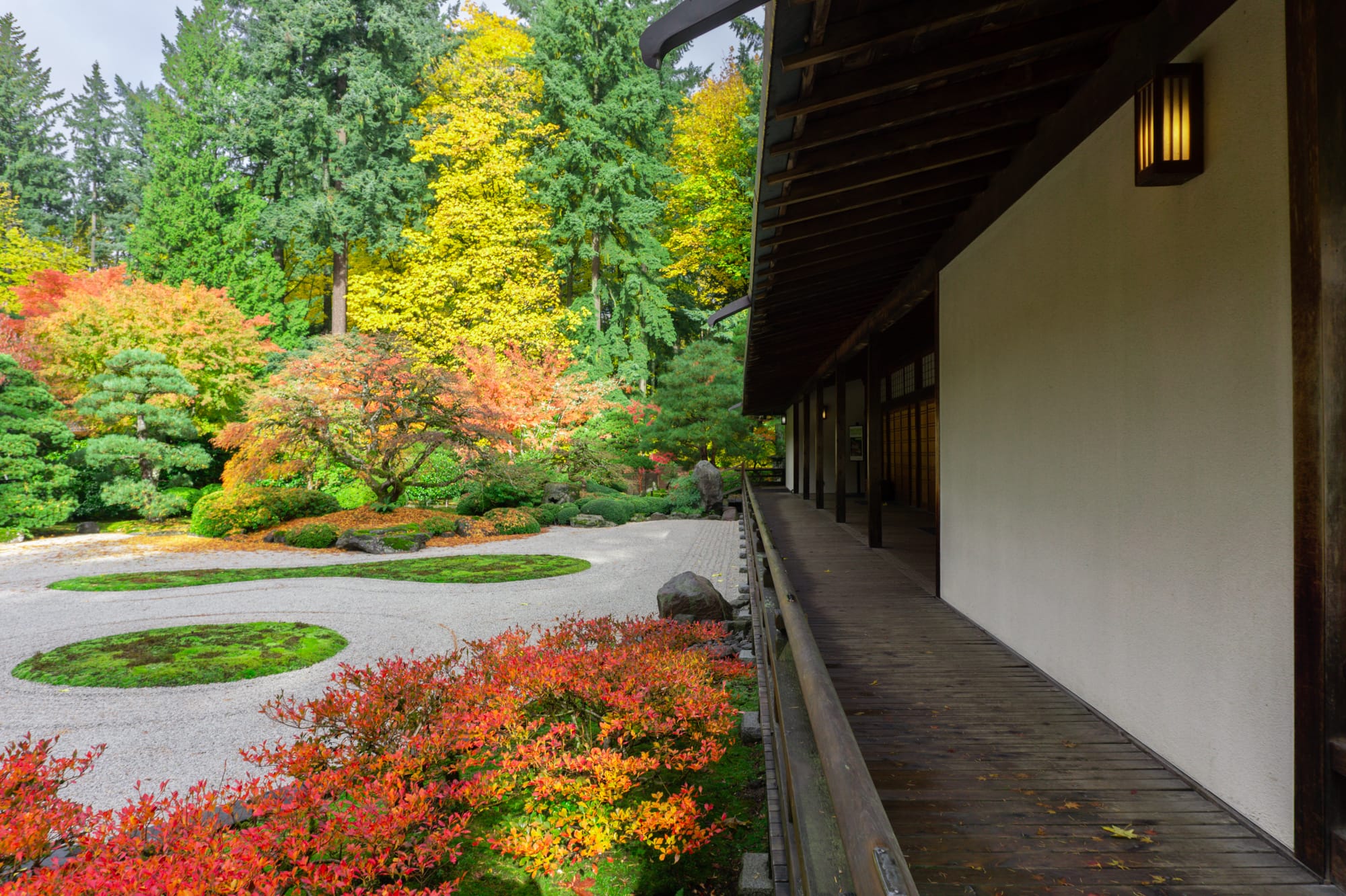 Red, yellow, and orange leaves on trees next to a raked gravel garden and wooden building.