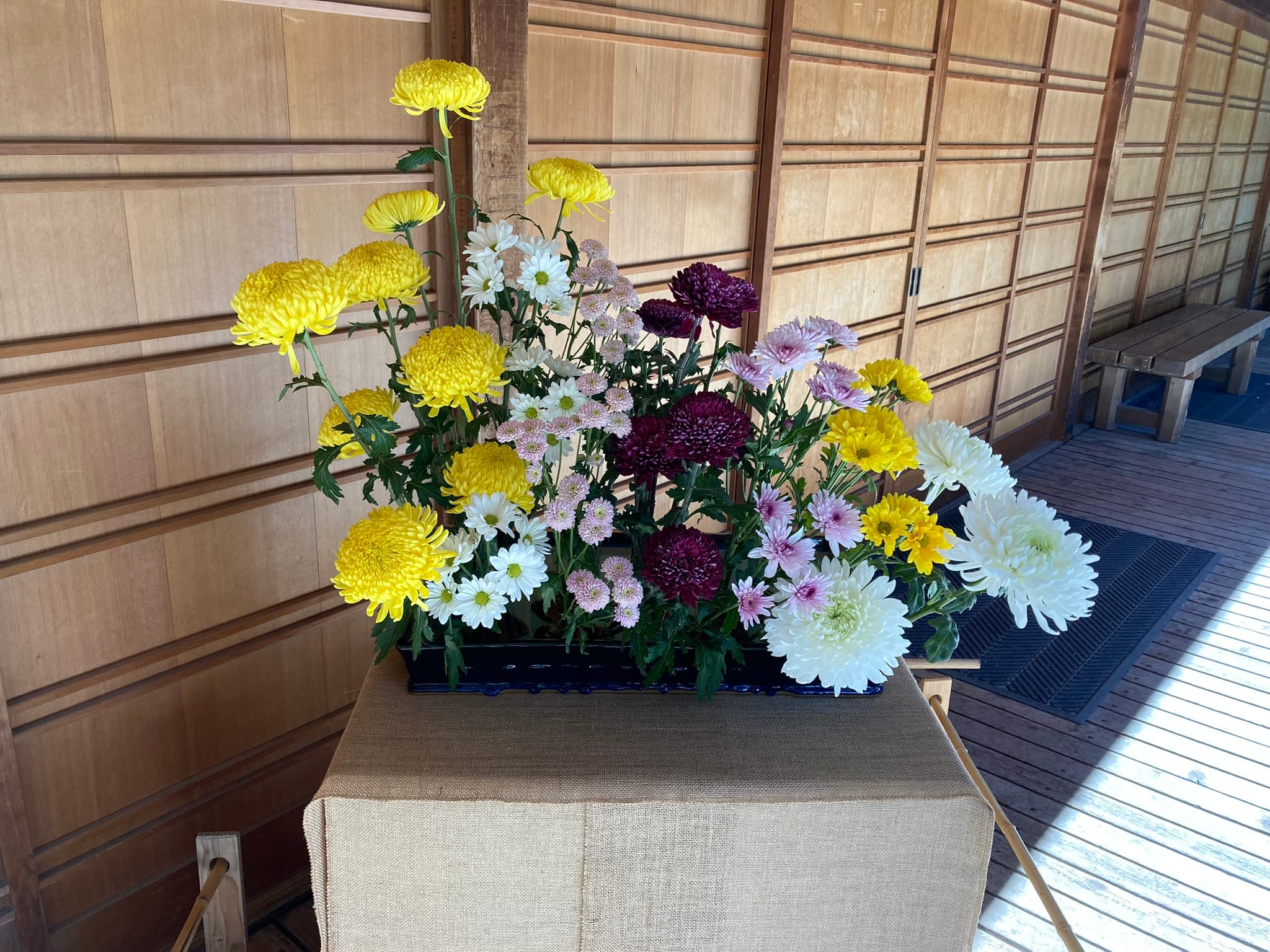 Ikebana International Chrysanthemum Show 2024 – Portland Japanese
