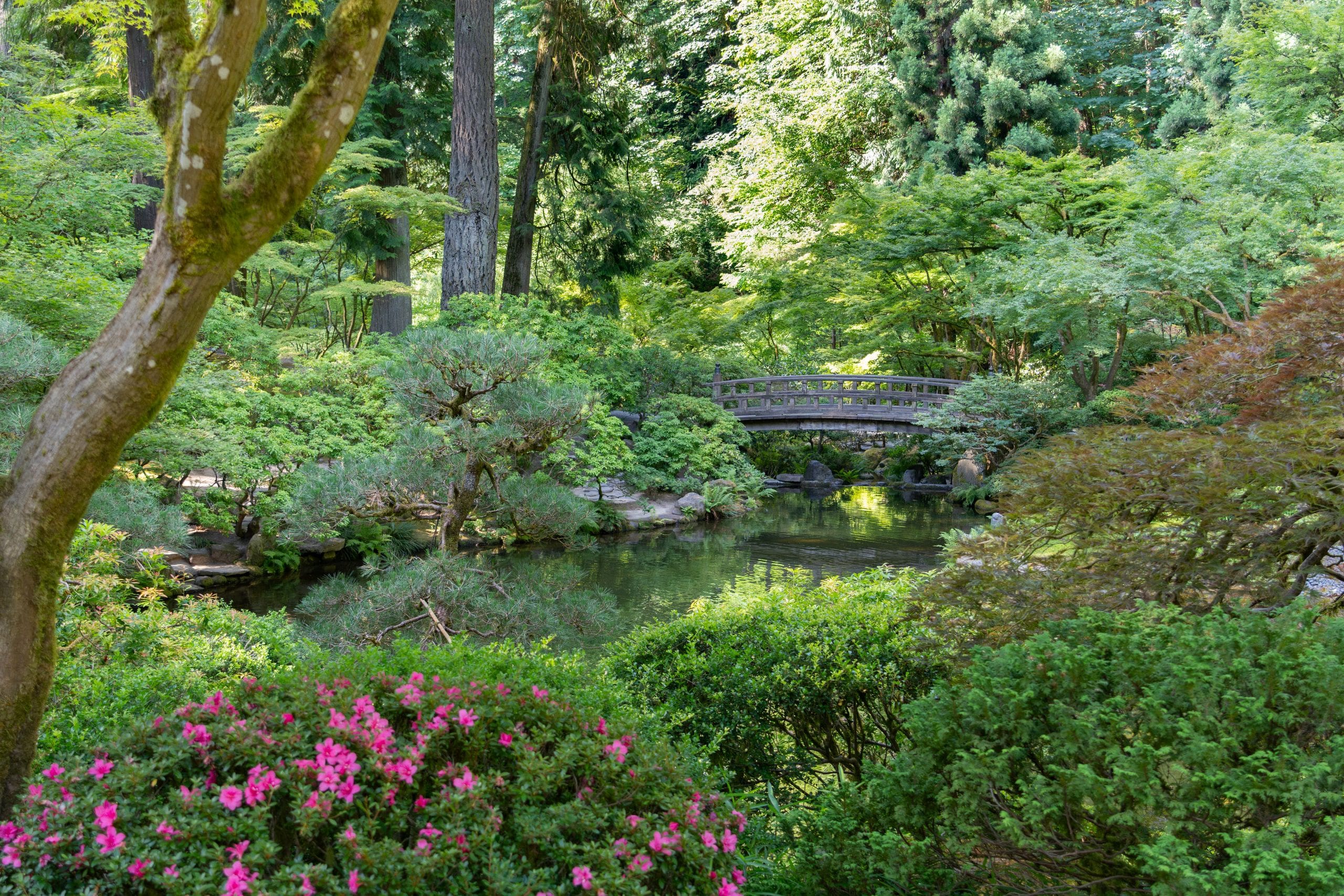 2025 in Review: Month by Month – Portland Japanese Garden
