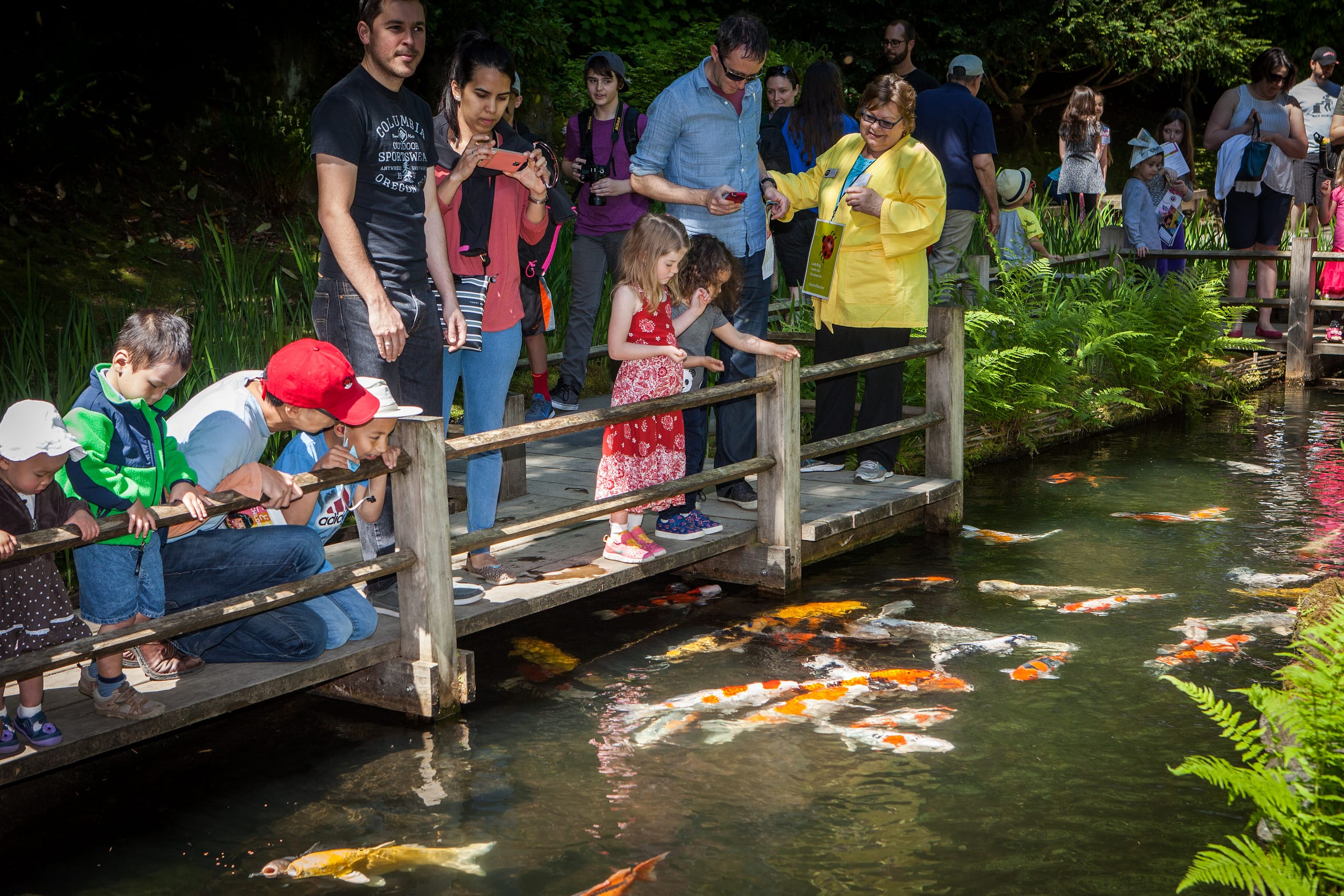 parents and children on a wooden bridge looking at koi swim