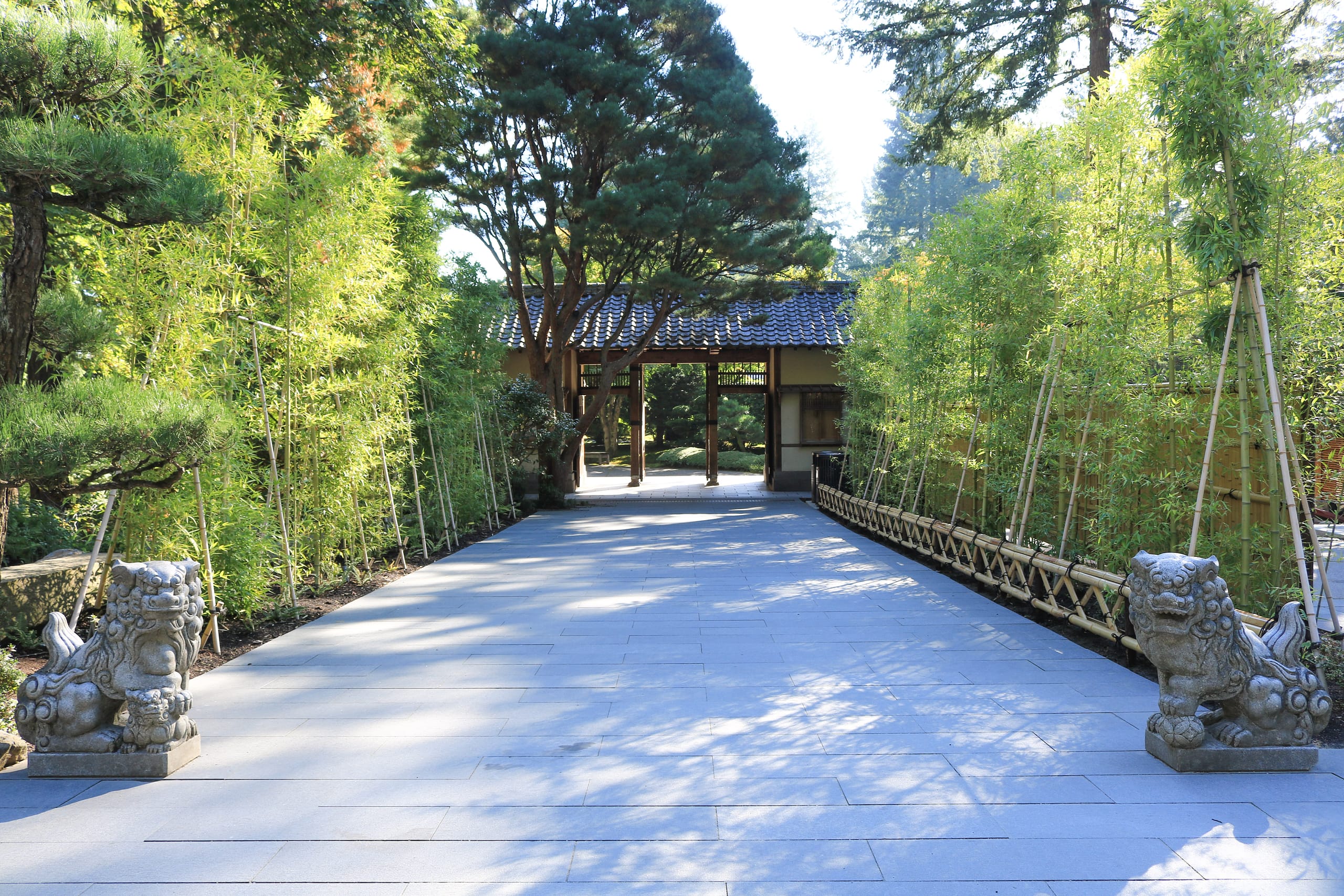 Accessibility & Strollers – Portland Japanese Garden