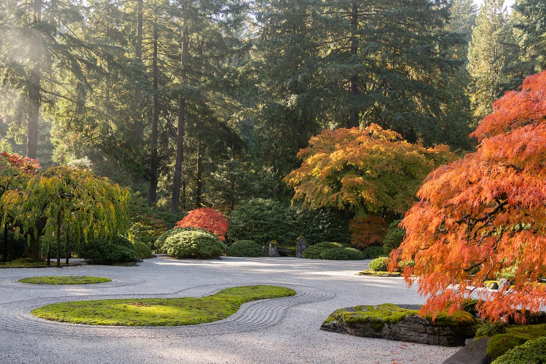 Moss Impressive: 9 Facts About the Tiny and Mighty Plant