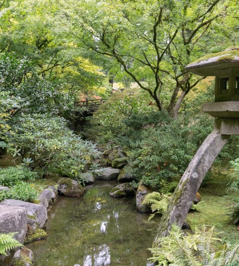 Moss Impressive: 9 Facts About the Tiny and Mighty Plant