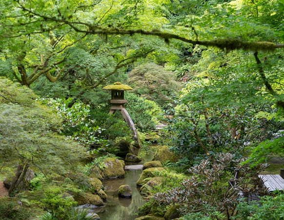 a stone lantern surrounded by green vegetation