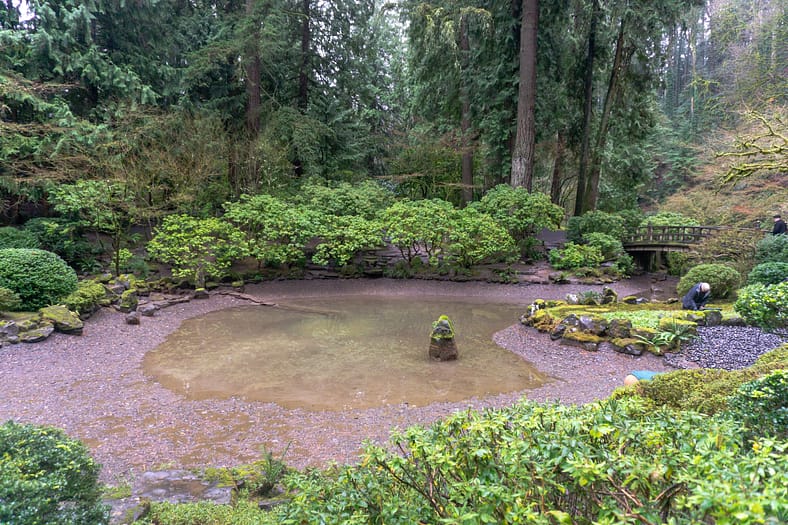 A pond with much of its water drained. It is the upper pond of the Strolling Pond Garden in Portland Japanese Garden.