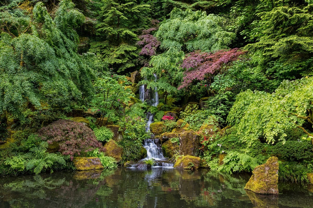 a waterfall