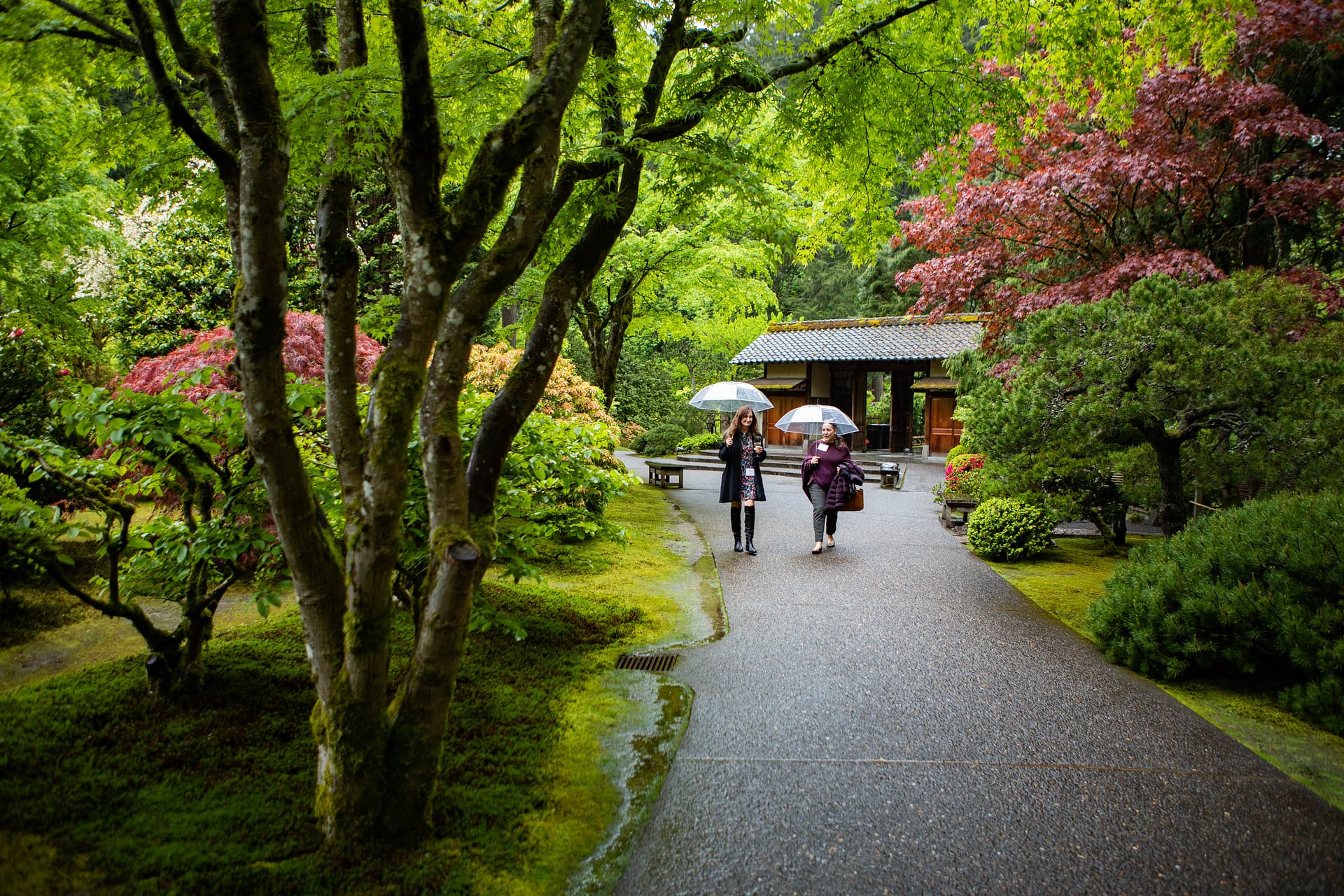 two people walk with umbrellas on a path in front of a wooden gate