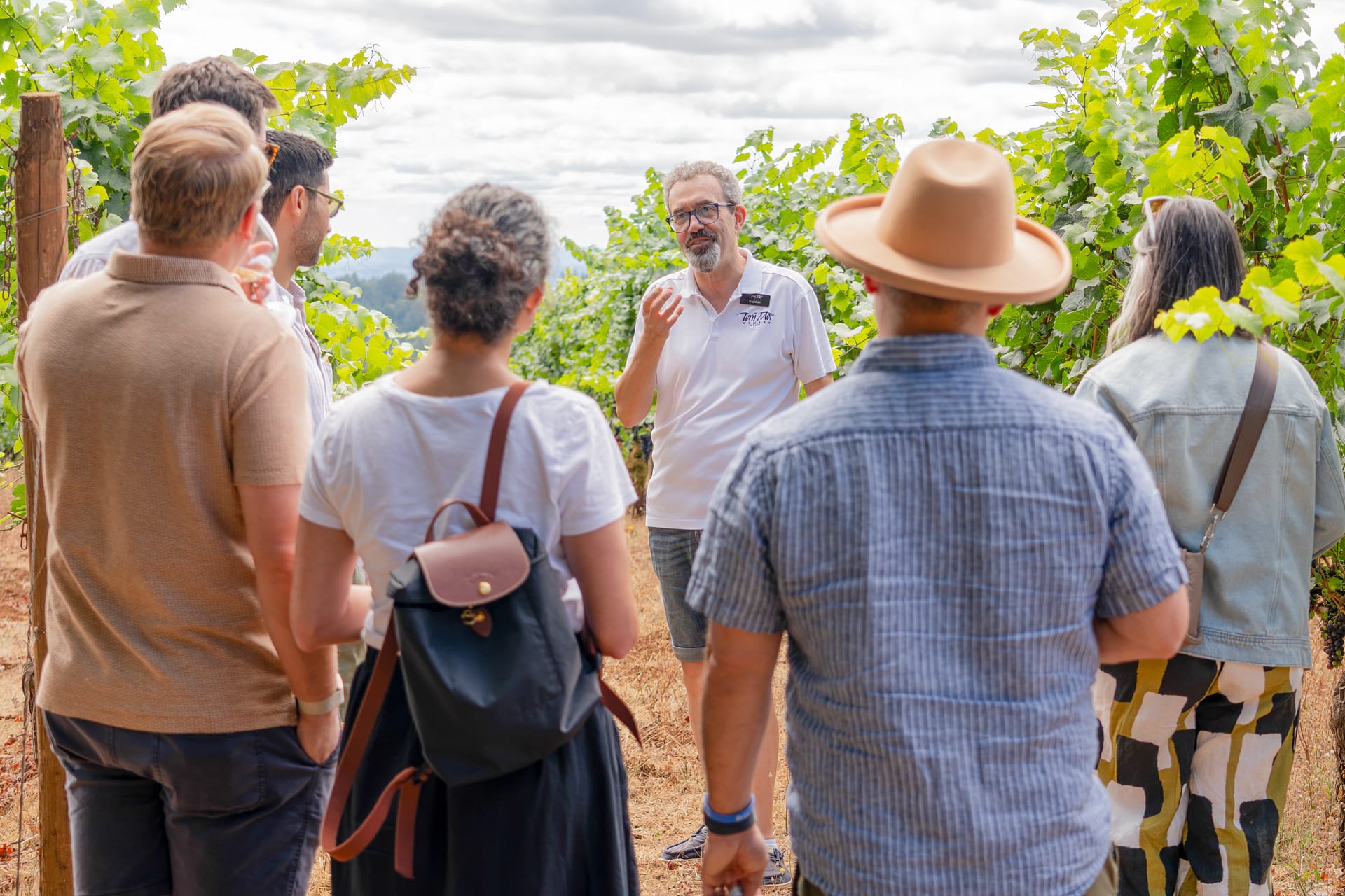 A person giving a tour in a vineyard.