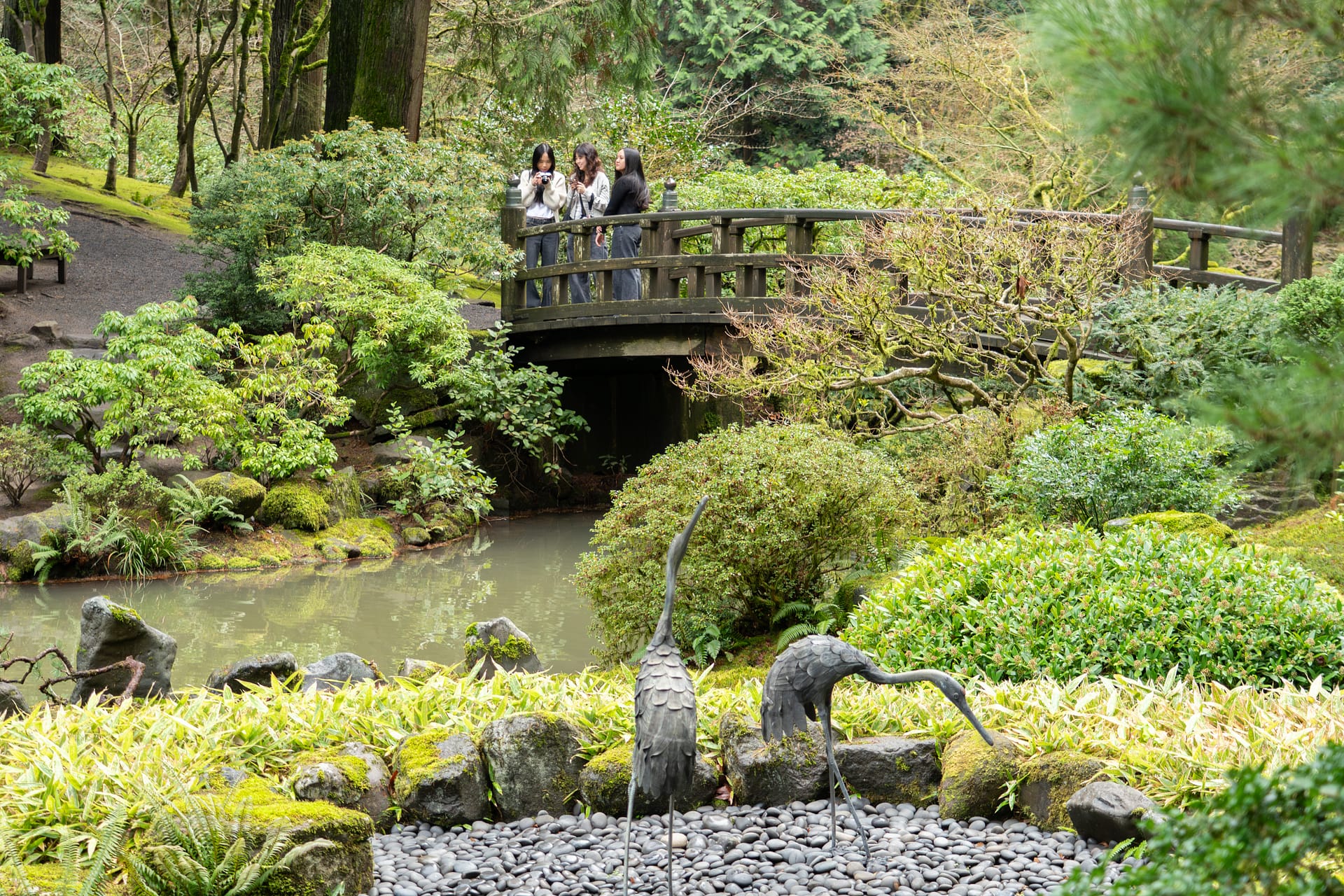 a trio of young women standing on a wooden bridge