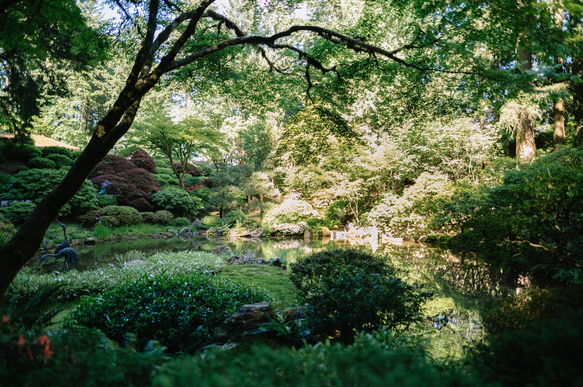 a pond in shadow and sunlight