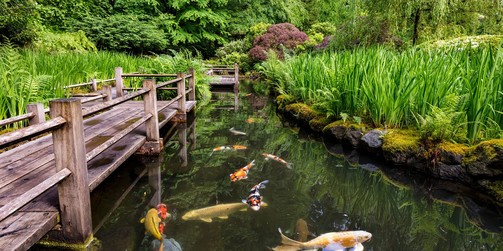 Late Spring Early Summer by Mike Centioli - 2017-05-31 - Portland Japanese Garden, May 2017-28 (9)