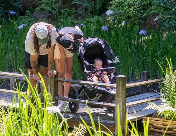 two parents lean over a baby stroller to look at their child on a wooden bridge